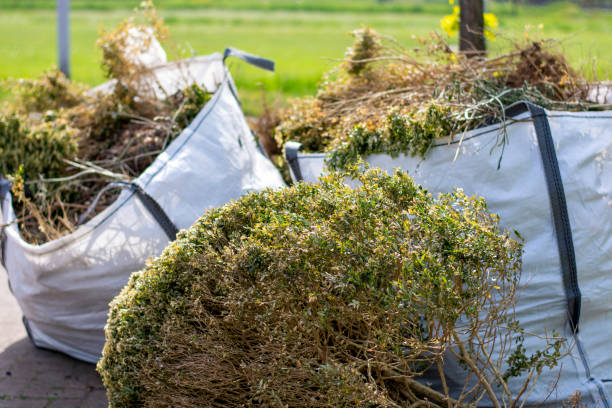 Best Office Cleanout  in Porcupine, SD