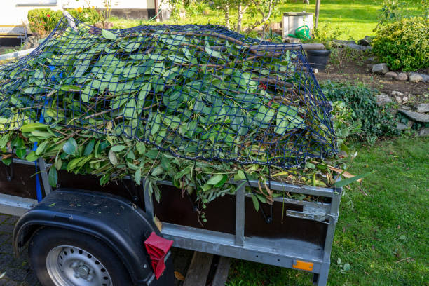 Best Shed Removal  in Porcupine, SD